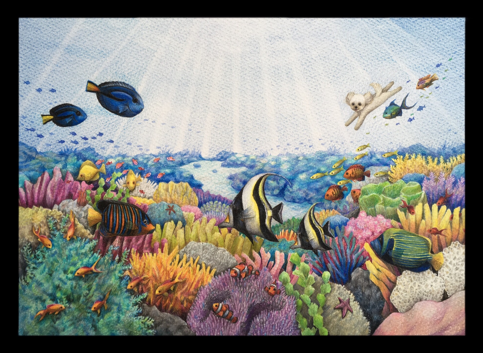 ギャラリーオーダーメイド：フラちゃんと珊瑚礁 | ファーレイ恵梨