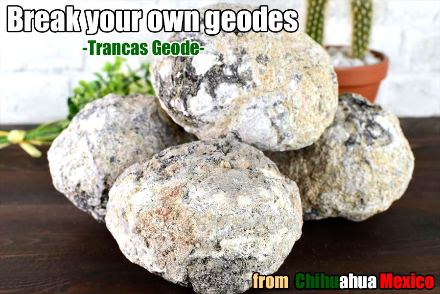 楽天市場】トランカスジオード 晶洞 蛍光 □Lサイズ□ メキシコ