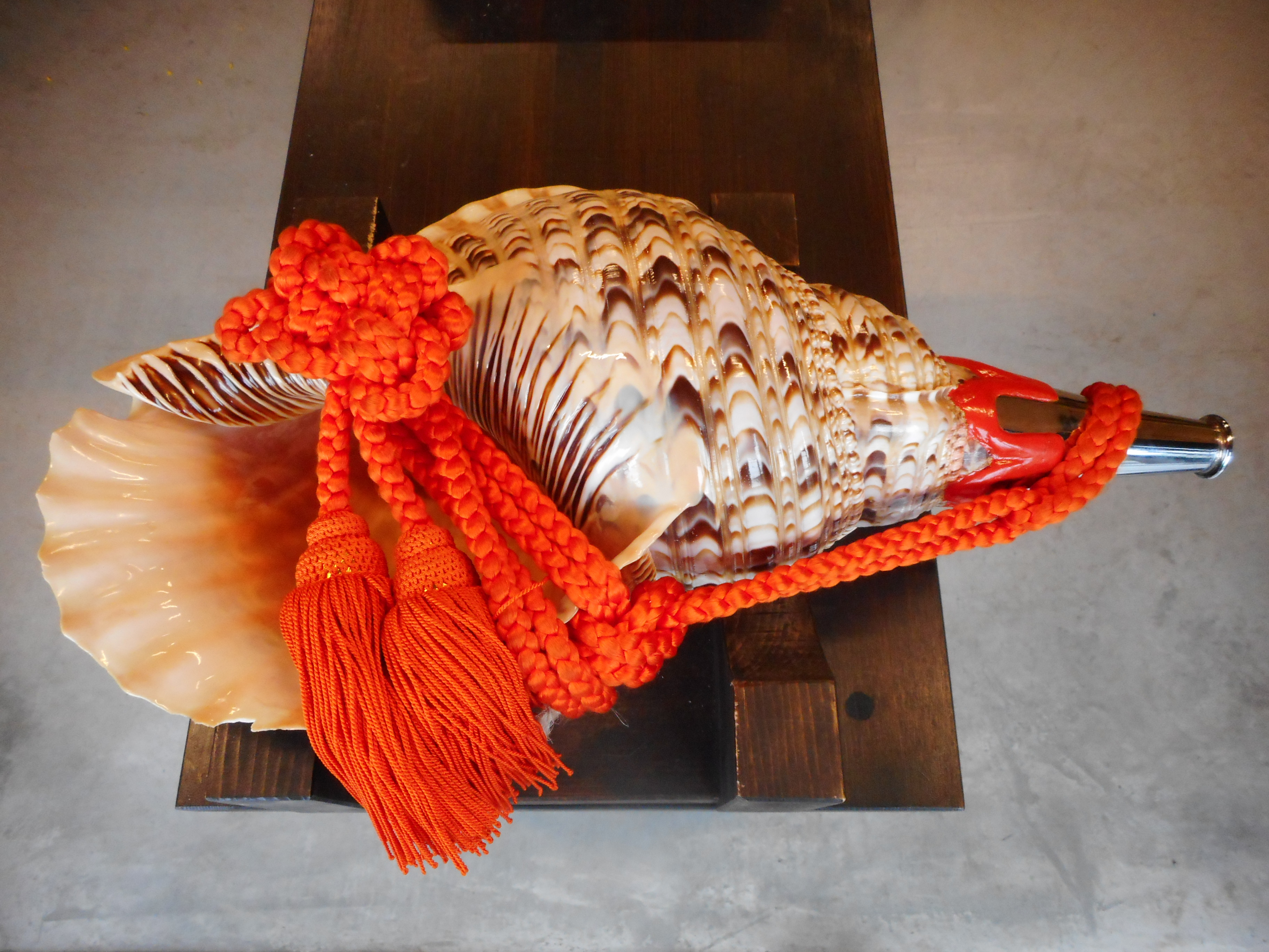 法螺貝 | 【厄除のお大師さま】あさか大師ホームページ〈公式〉【厄除