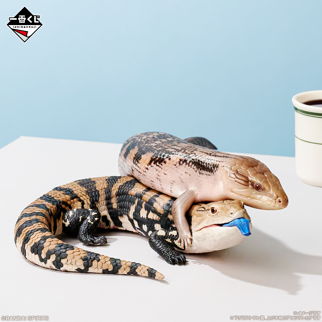 一番くじ 爬虫類＆両生類～Tiny Friends～vol.2｜一番くじ倶楽部