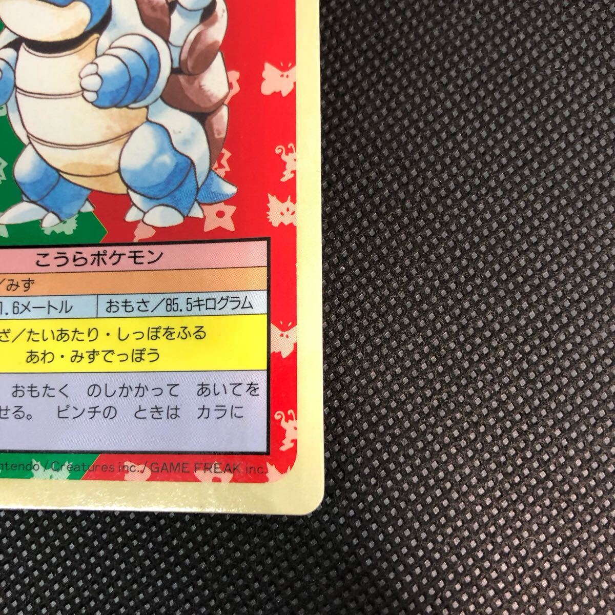 ポケモンカード トップサン 裏青 カード カメックス｜Yahoo!フリマ（旧