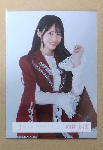 向井純葉 東京ドーム オープニング衣装 生写真 櫻坂46 福袋 2025