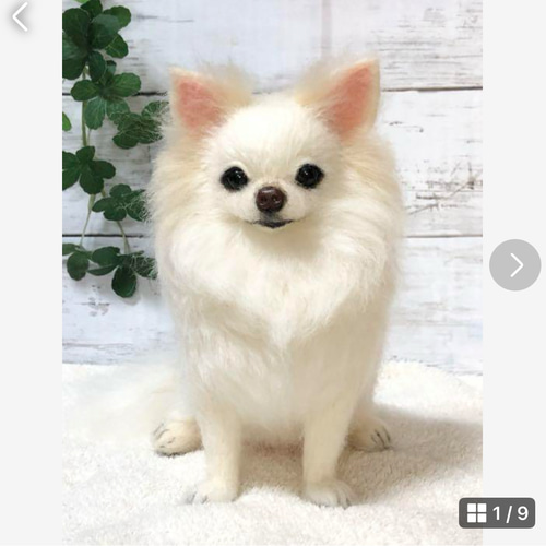 羊毛フェルト☆【オーダーメイド】☆ハンドメイド ☆チワワ☆犬