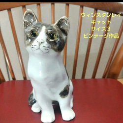 ウィンスタンレイキャット（ケンジントンキャット）サイズ2、キャセ