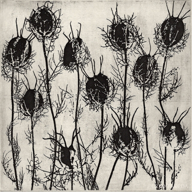 銅版画 “Devil in the bush”（額装） | iichi 日々の暮らしを心地よく