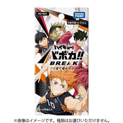 ヨドバシ.com - タカラトミー TAKARATOMY HV-P01 ハイキュー！！バボカ