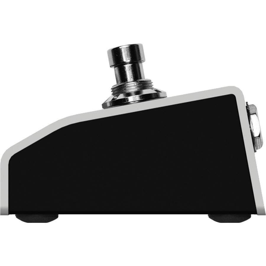 HOTONE AMPERO SWITCH+ / デュアル フットスイッチ ペダル : 愛曲楽器