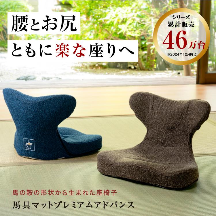 ドリーム 腰痛クッション 馬具マット プレミアム アドバンス 座椅子
