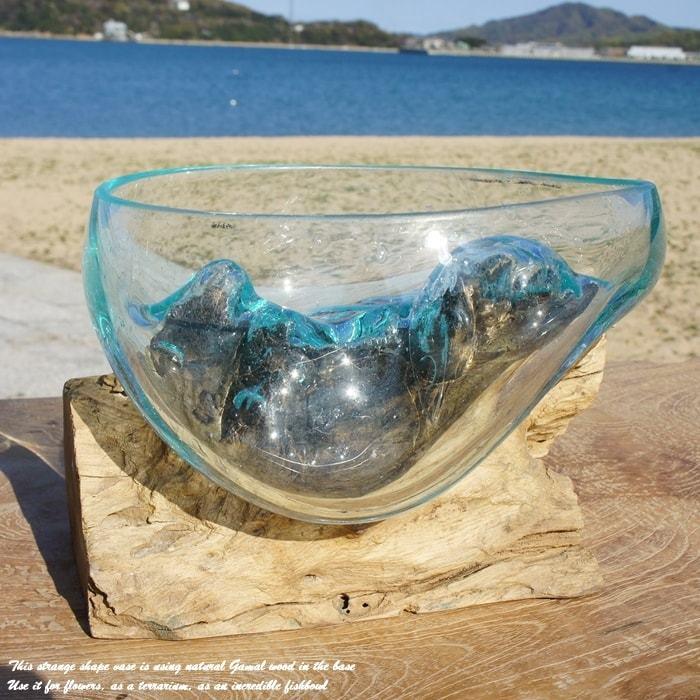 吹きガラスと天然木のオブジェ B20 金魚鉢 メダカ水槽 花瓶 流木ガラス