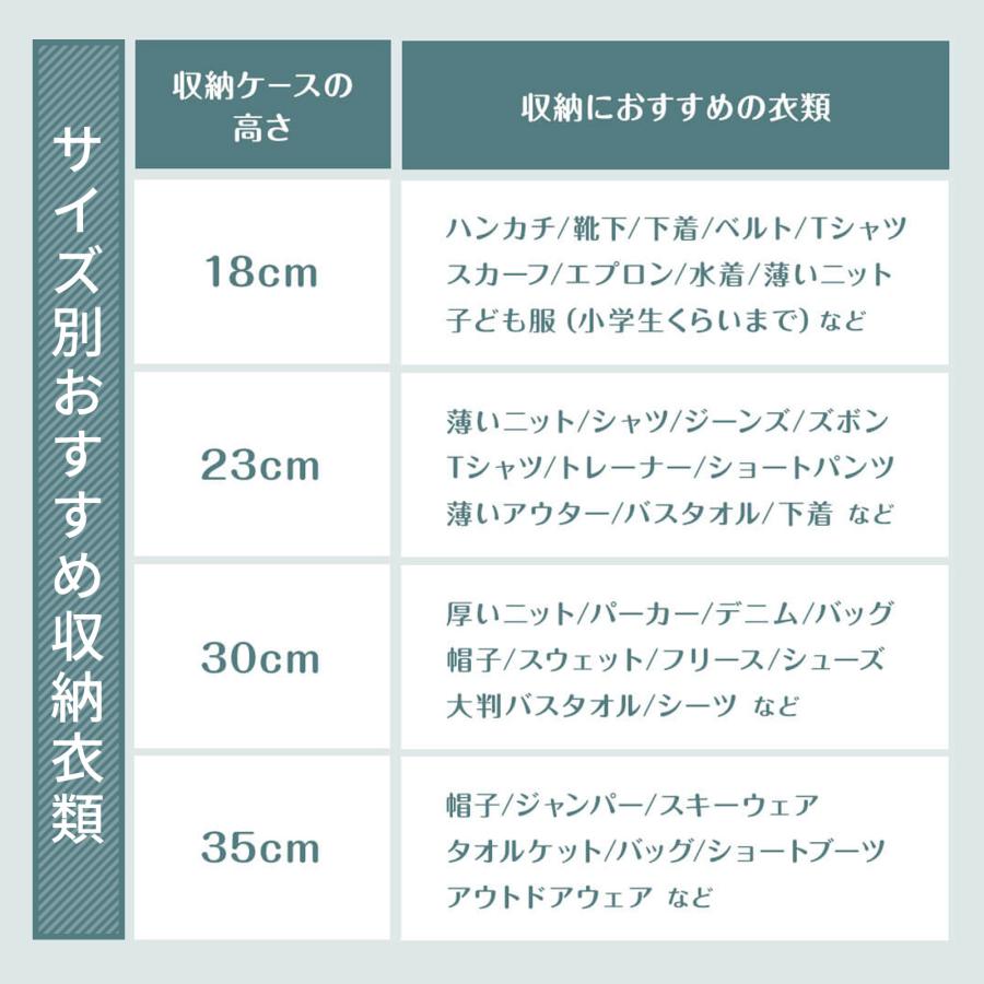 天馬 収納ケース 衣装ケース フィッツケース ディープ カプチーノ