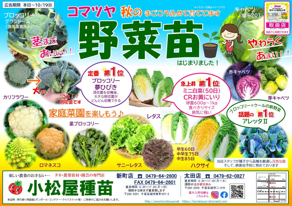 お待たせいたしました！！！秋の野菜苗はじめました。 - 小松屋種苗