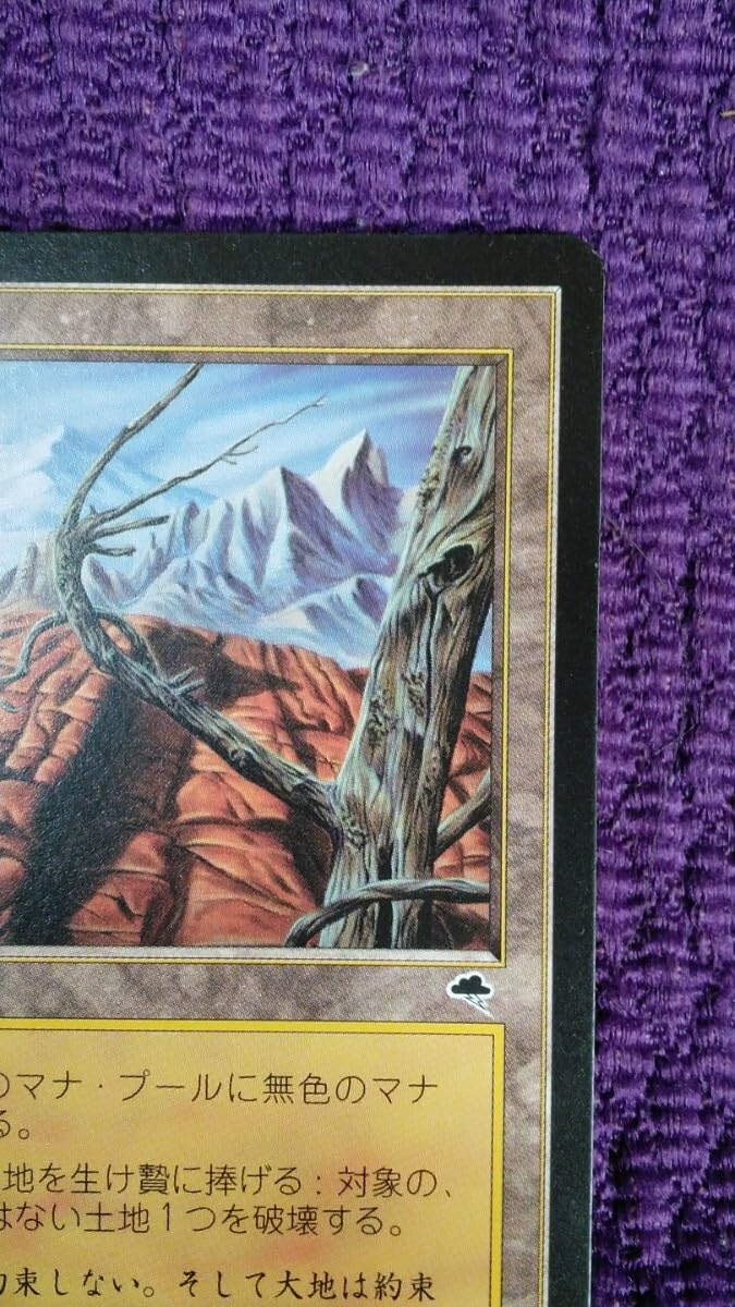 MTG 不毛の大地 Wasteland 4枚セット 早い者勝ち MTG 不毛の大地