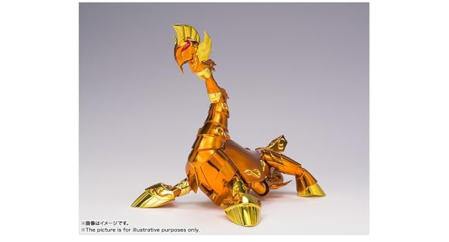 Amazon | TAMASHII NATIONS 聖闘士聖衣神話EX 聖闘士星矢 シードラゴン