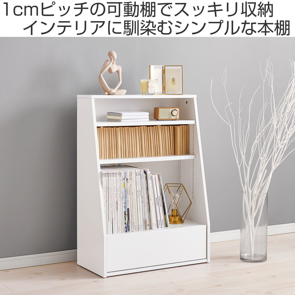 HAGiHARA（萩原） 1cmピッチ可動 本棚 幅60cm ロータイプ 可動棚2枚