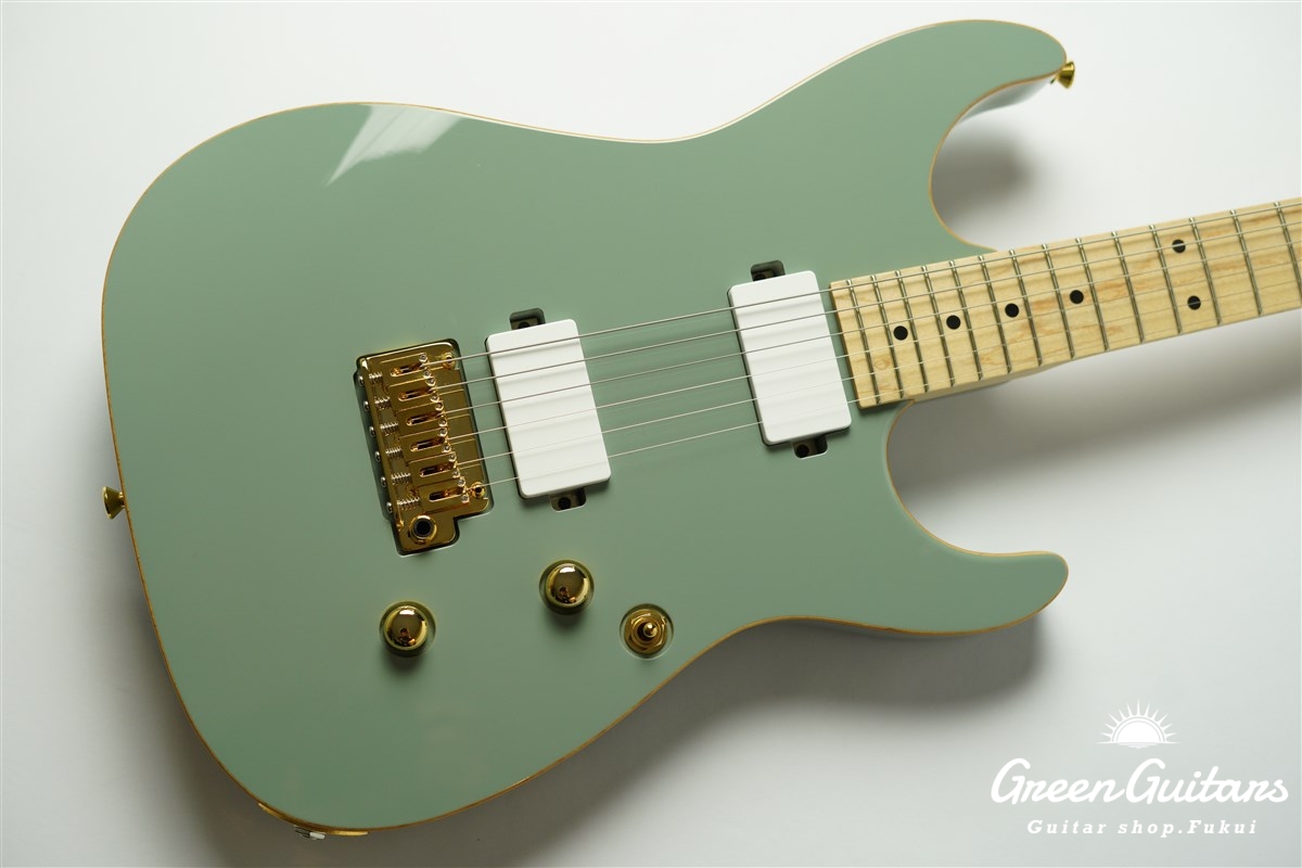 Addictone custom guitars ARENA - Sonic Gray #387 | Green Guitars