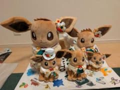 ポケパークカントー ショップ 限定 イーブイ ぬいぐるみ5体セット