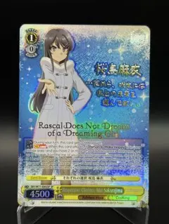 2026年最新】桜島麻衣 サインの人気アイテム - メルカリ