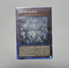 2026年最新】迷宮城の白銀姫 25thの人気アイテム - メルカリ