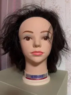 2026年最新】ワインディングマネキンの人気アイテム - メルカリ