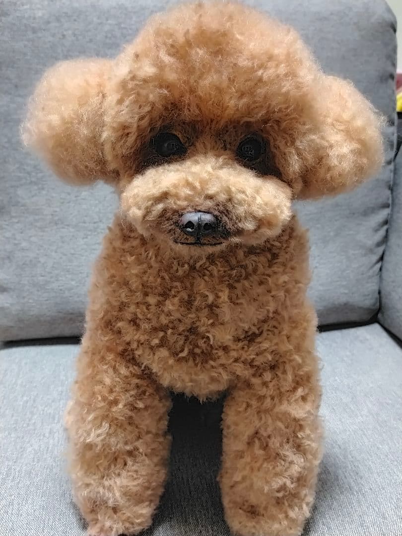 羊毛フェルトオーダー確認用。トイプードルレッドちゃん♡実物大。 0f4790133fe34f260fd09180837b5a