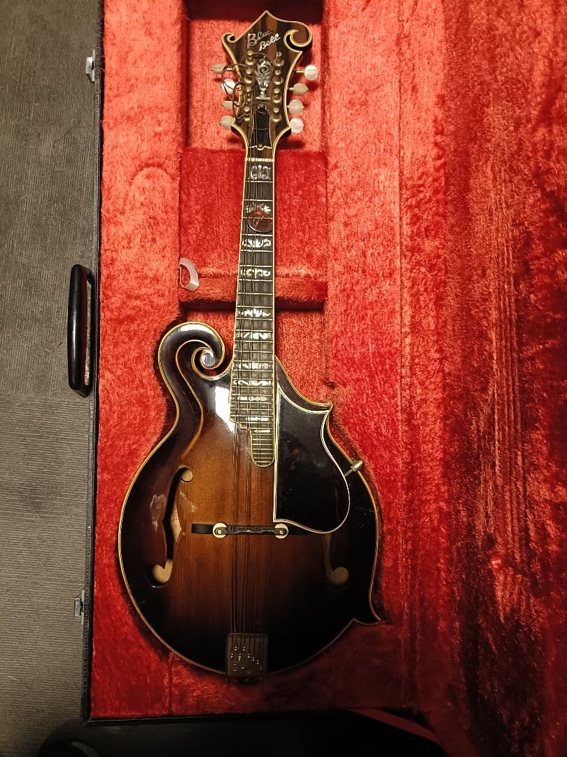 Blue Bee F-12 マンドリン Fタイプハードケース付ジャンク扱い現状品 Yahoo!オークション -「フラットマンドリン」の落札相場・落札価格