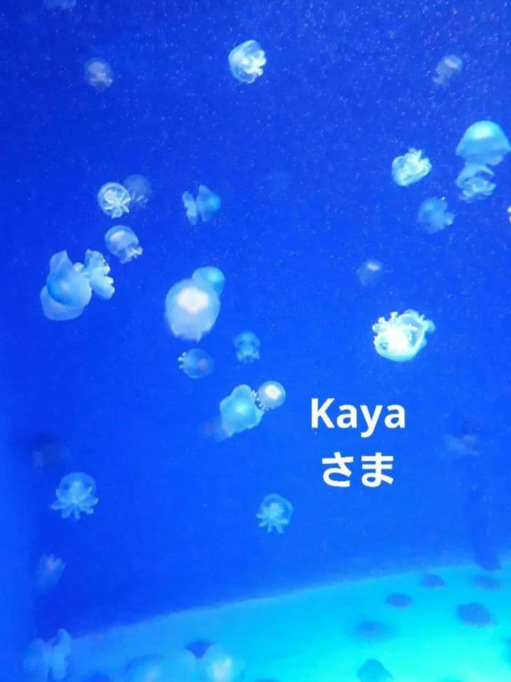 Kayaさま　４点 女形の最終形態 | Kayaオフィシャルブログ「廃頽的耽美論」Powered by