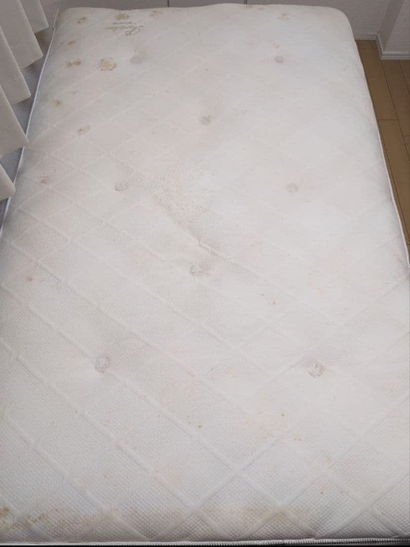 セミダブル スプリングマットレスのみ Paradiso by KINGSDOWN マットレス | スプリングマットレス 匠モデル セミダブル