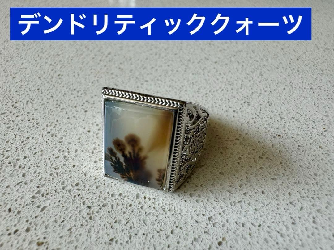 【高品質】デンドリティッククォーツのリング　シルバーS925 超レア デンドリティッククォーツのリング | Namikata
