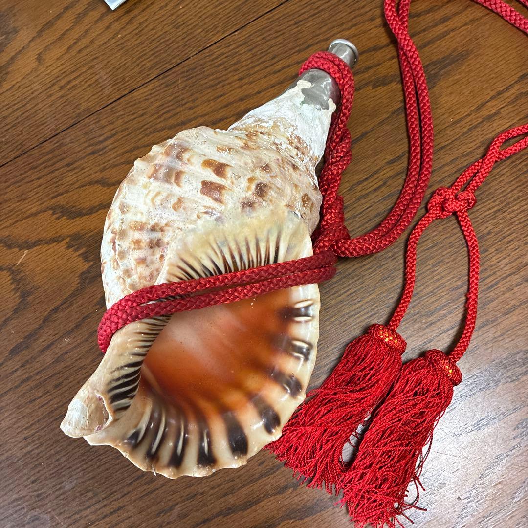 貝殻楽器 赤い紐付き 約20cm Amazon | VINTORKY 天然の巻き貝を使った貝殻の角笛 大きな貝殻の角笛