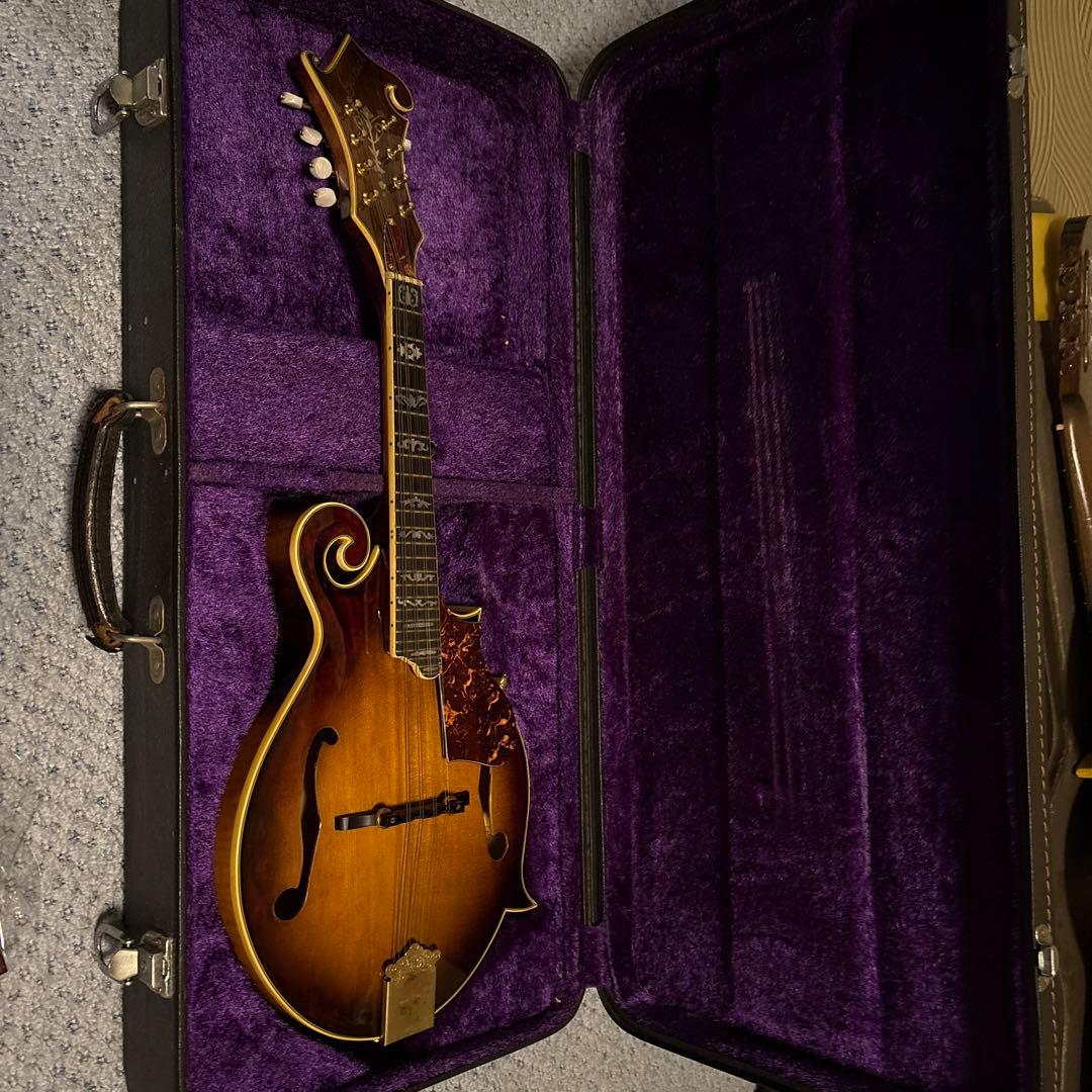 Samick Fタイプ フラットマンドリン ハードケース付き 楽天市場】フラットマンドリン総単板シダー・ハードケースセット f60c