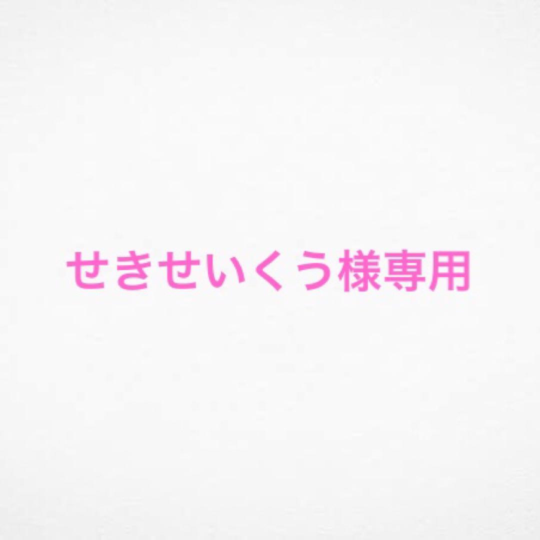 せきせいくうページ スタッフコラム ｜ Z/X - Zillions of enemy X - ゼクス公式サイト