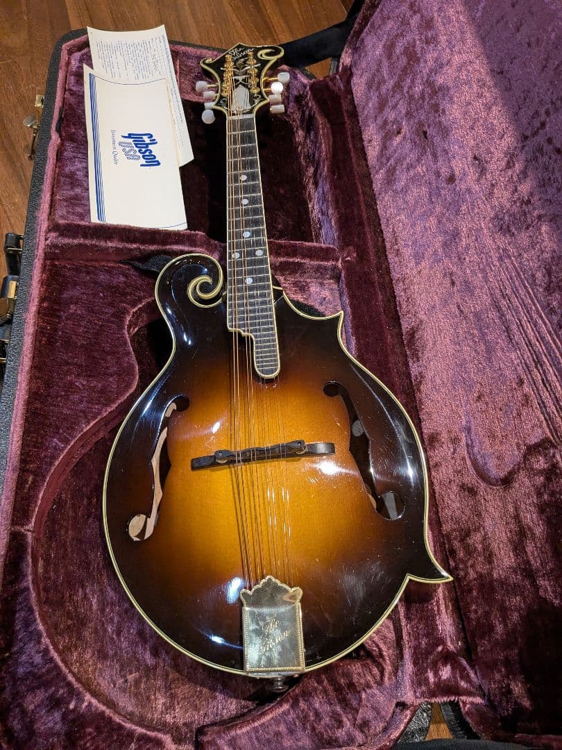 Gibson F-5 Lフラットマンドリン サンバースト Gibson F-5L The Fern Mandolin Fern Burst | Reverb