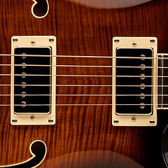 SE Hollowbody II - 2024 | PRS Guitars
