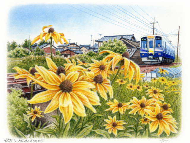札幌の水彩色鉛筆画家 ○ イラストレーター鈴木周作 ～水彩色鉛筆画の