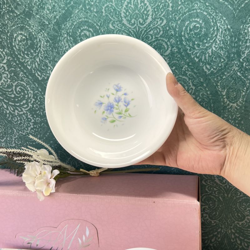 コレールCORELLE メロディーレイク melodylake 中ボウルセット 5枚
